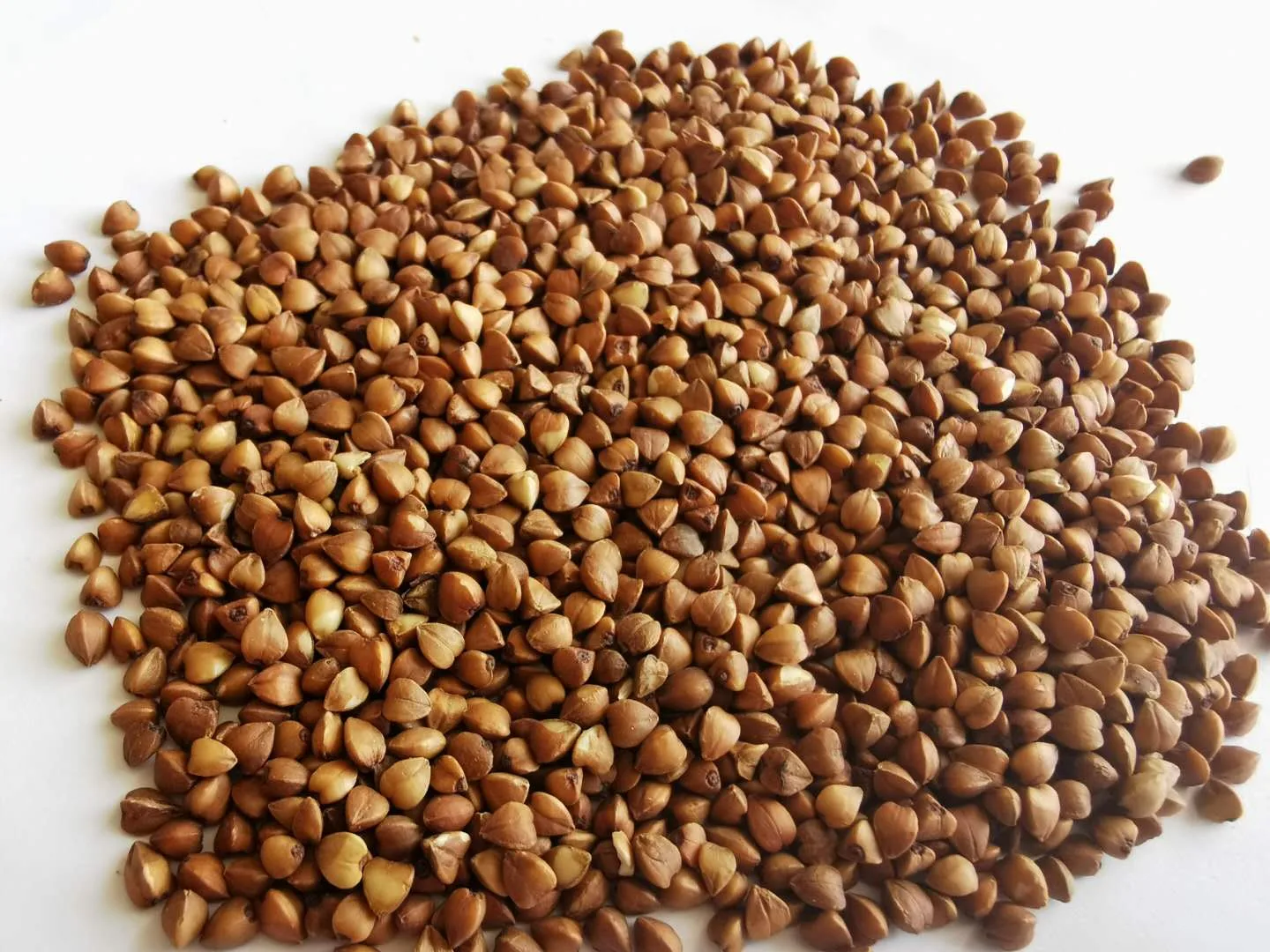 Dola Glutensiz Karabuğday Tane 400 g 2 Adet Kavrulmuş Greçka